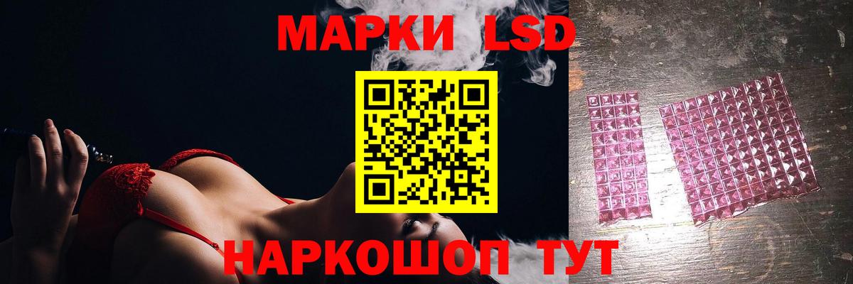 LSD-25 экстази ecstasy  ЛСД экстази ecstasy  Курчалой  Вход с VPN 