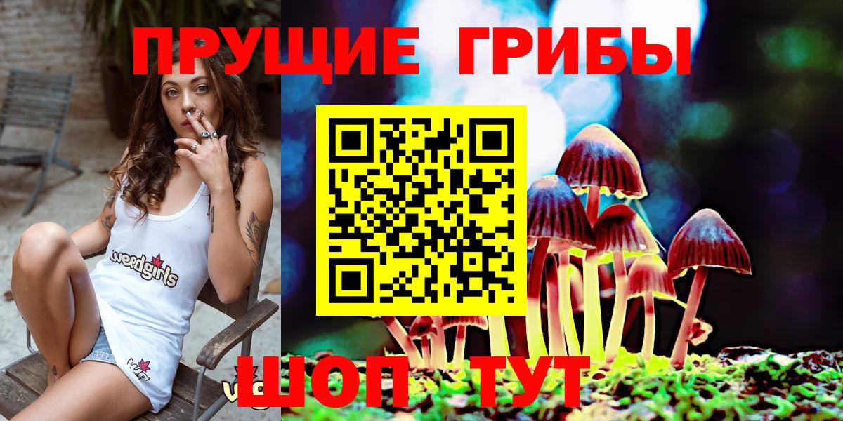 Псилоцибиновые грибы мухоморы  Вход с VPN  Псилоцибиновые грибы прущие грибы  Курчалой 