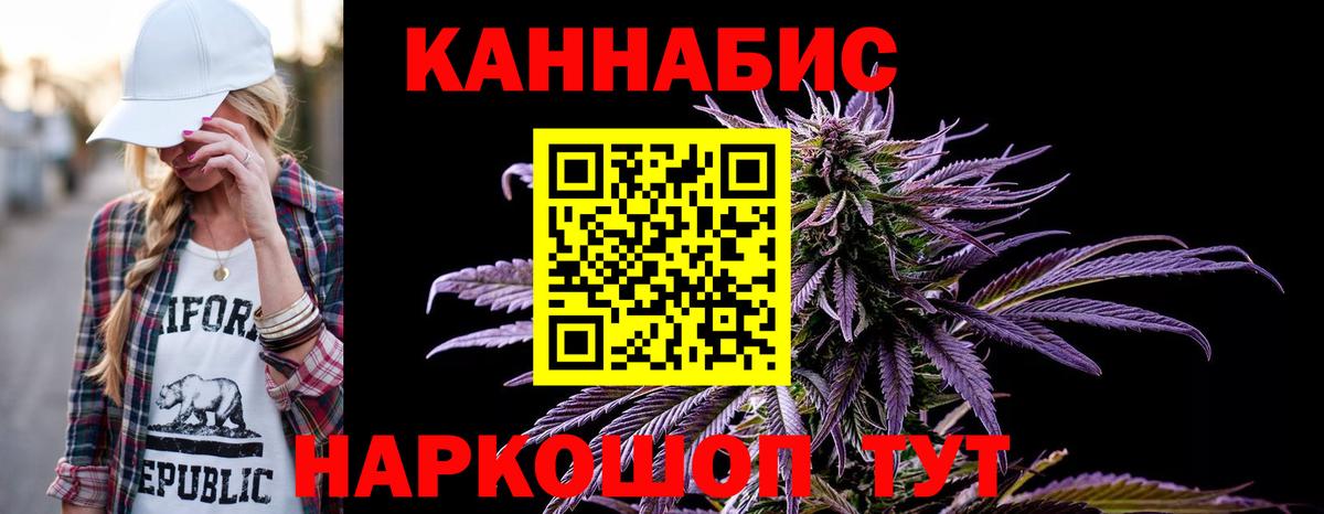 Конопля MAZAR Курчалой
